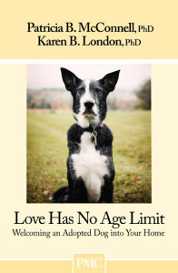 book cover of Love Has No Age LImit