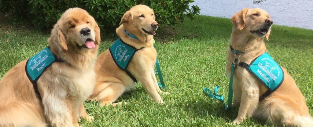 Golden Retriever Rescue of Mid-Florida, Inc.